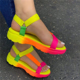 Multi Colors  Sandals